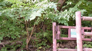 18-DSC_6027