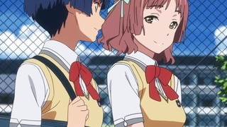 16-OVA(8)