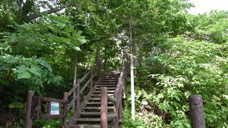 22-DSC_6031