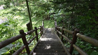 28-DSC_6035