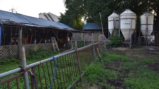 01-DSC_3543