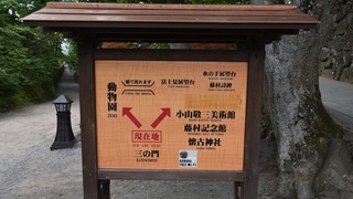 06-DSC_4233