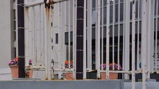 08-DSC_6296