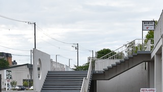 51-DSC_6596