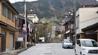 2-4DSC_1712