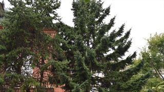 10-DSC_5133