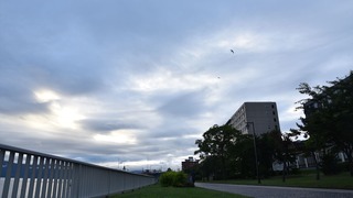11-DSC_5864