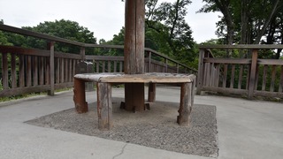 05-DSC_4401