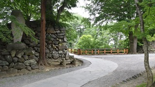 25-DSC_4270