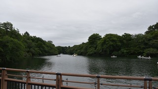 12-DSC_3141