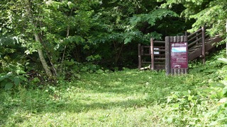 02-DSC_6023