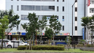 03-DSC_3341
