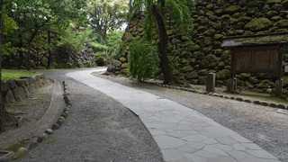29-DSC_4274