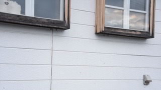 12-DSC_6495