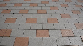 11-DSC_4045