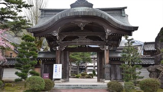 2-4DSC_1716