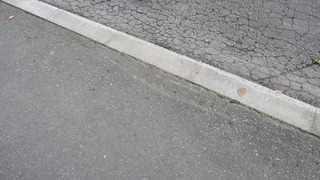 31-DSC_6618