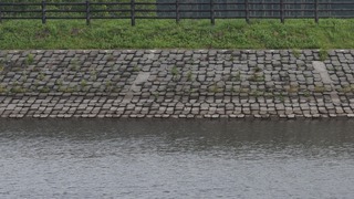 03-DSC_4726