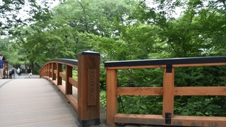 28-DSC_4273