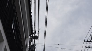 10-DSC_4445