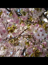 SN3B0027_0001
