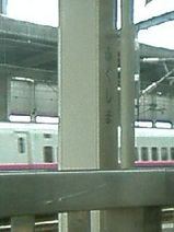 29ac1454.jpg
