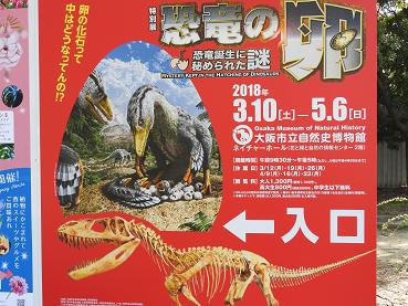 恐竜卵化石がギネス認定 世界最小のサイズ ウズラの卵ほどの重さ