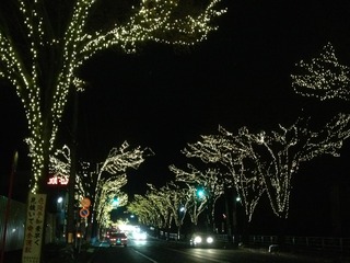 roadside