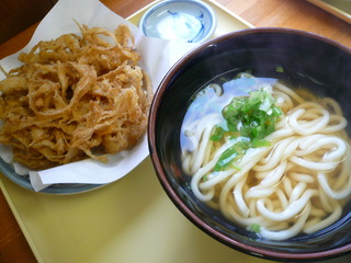 gobo