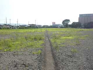 P1000726