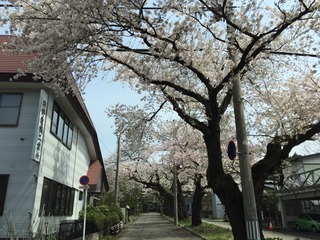 2015-04-23-08-14-10