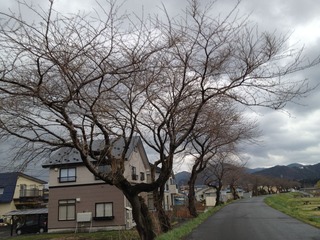 nagakigawa
