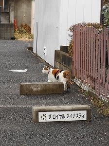 DSCN2561