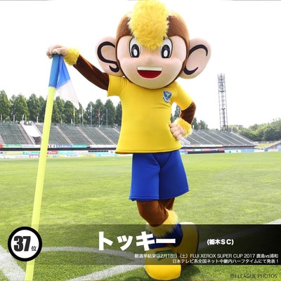 tochigi