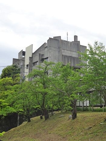 DSC03668 (2)