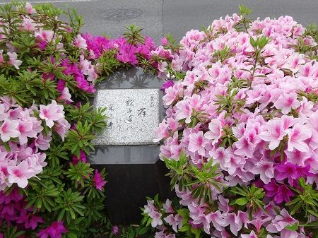 DSC03590 (2)