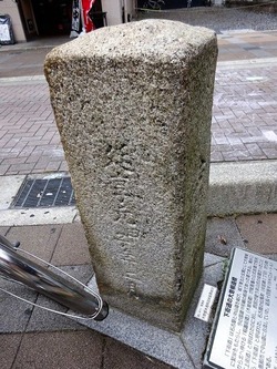 DSC04998 (2)