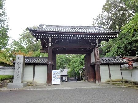 DSC02039 (3)