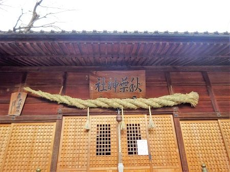 DSC02551 (2)