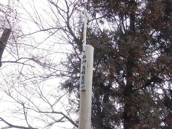 DSCN5381 (3)