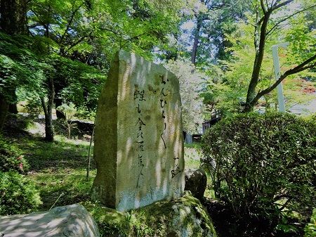 DSC04341 (2)