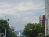 長野大通り沿いの木々