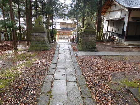 DSCN5741