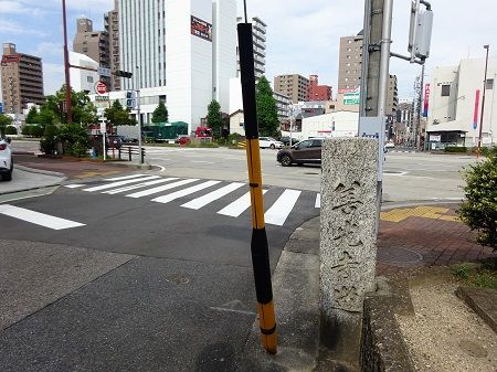 DSC04991 (2)