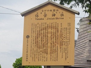 DSC04554 (2)