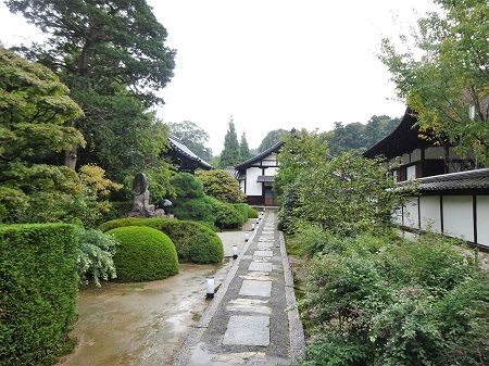 DSC02065 (2)