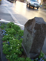 10丁石と花