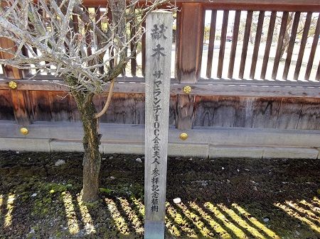 DSC05940 (2)