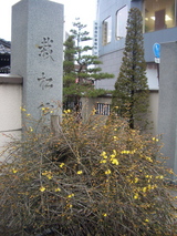 栽松院前の花