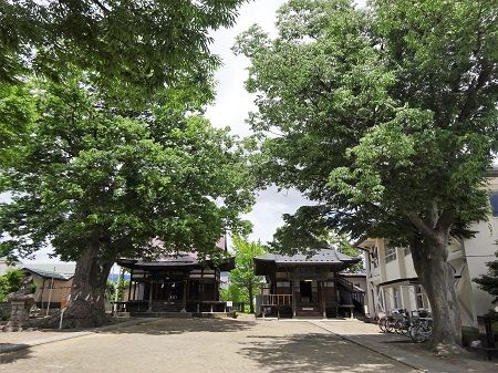 DSC04434 (2)